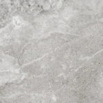 Изображение E-5005